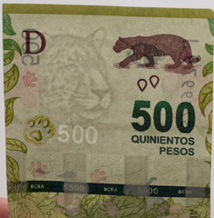 billete de 500 pesos argentinos a trasluz, se observan las marcas de agua de autenticidad