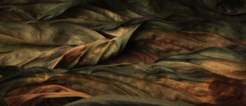 Dry withered autumn leaf. Nature texture horizontal long background.