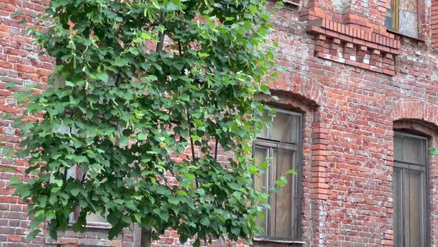 PANORAMA Z ZEWNĄTRZ FASADY STAREGO BUDYNKU