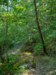 The PR10 SEI walking route between the forest in Serra Da Estrela, Portugal