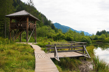 An observation platform and tower in Zelenci Nature Reserve near Kranjska Gora in north west Slovenia. It is a protected wetland and source of the Sava Dolinka River
