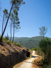 Obraz premium PR10 SEI walking route aside a water channel separating the pine trees forest below and the rocky mountain above in Serra da Estrela, Portugal