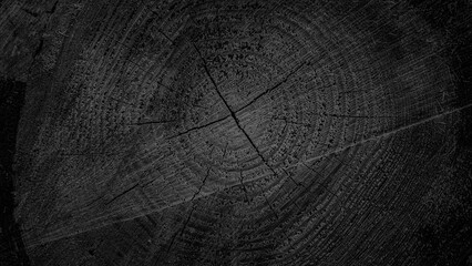 Sawed wood natural wooden background