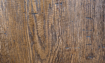 Surface of brown wood texture with old natural pattern