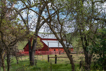 Fototapeta na wymiar A red Barn in the Countryside