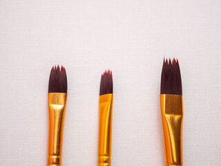 Paint brushes on white canvas. Artist's tool.