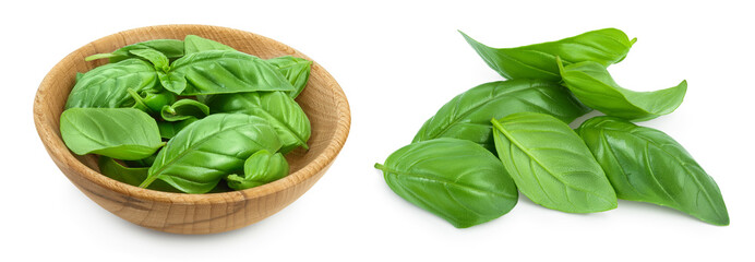 Fresh basil leaf in wooden bowl isolated on white background with clipping path and full depth of field. - obrazy, fototapety, plakaty