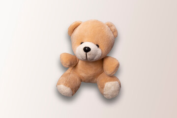 Teddy bear on light background