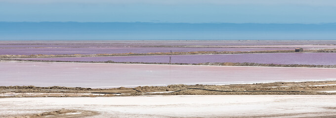 Namibia, the the salt marshes with pink lake, Walvis Bay