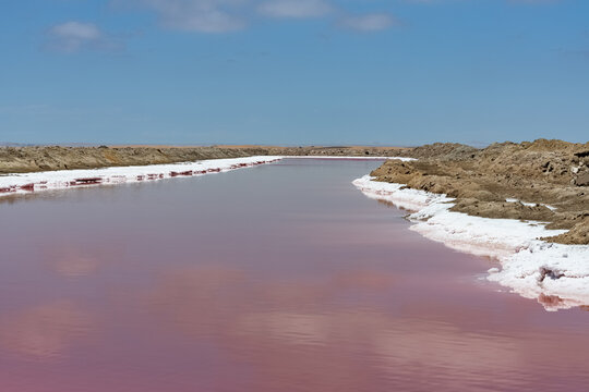 Namibia, the the salt marshes with pink lake, Walvis Bay