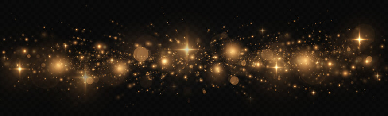 Fototapeta na wymiar The dust sparks and golden stars shine with special light. Glitter bokeh lights isolated on a transparent background. Sparkling space magical dust particles.