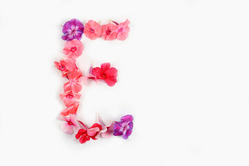 Letter E made from real fresh flowers. Floral font concept. Unique collection of letters and numbers for design. Spring, summer, autumn and valentines, creative idea, selective focus