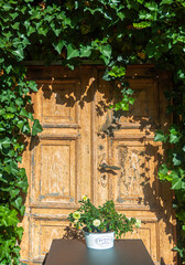 Fototapeta premium An old wooden door in a wall covered with green ivy
