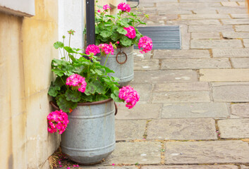 beautiful pink geranium flowers in a pots near the door of the house, urban street decor