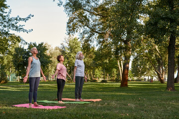 Senior friends meditating on fitness mats on lawn