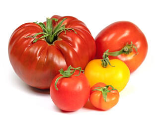 Rote und gelbe Tomaten vor weißem Hintergrund