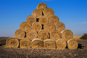 rolls of bales of straw or hay for the winter in the shape of a pyramid