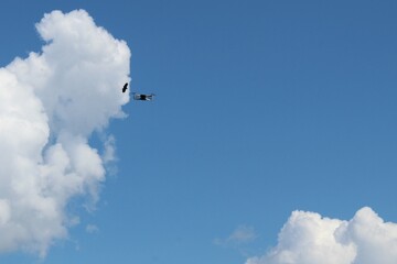 drone flying high in blue sky with clouds and a bird