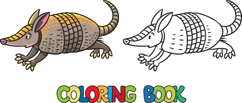 Funny Running Armadillo Kids Animals Coloring Book