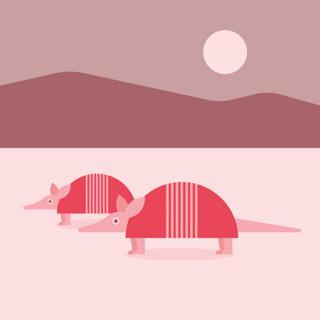 Two armadillos