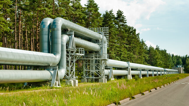 pipeline, in the photo the pipeline against the background of the blue sky and the forest, in the foreground the road