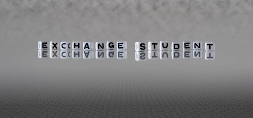 exchange student word or concept represented by black and white letter cubes on a grey horizon background stretching to infinity