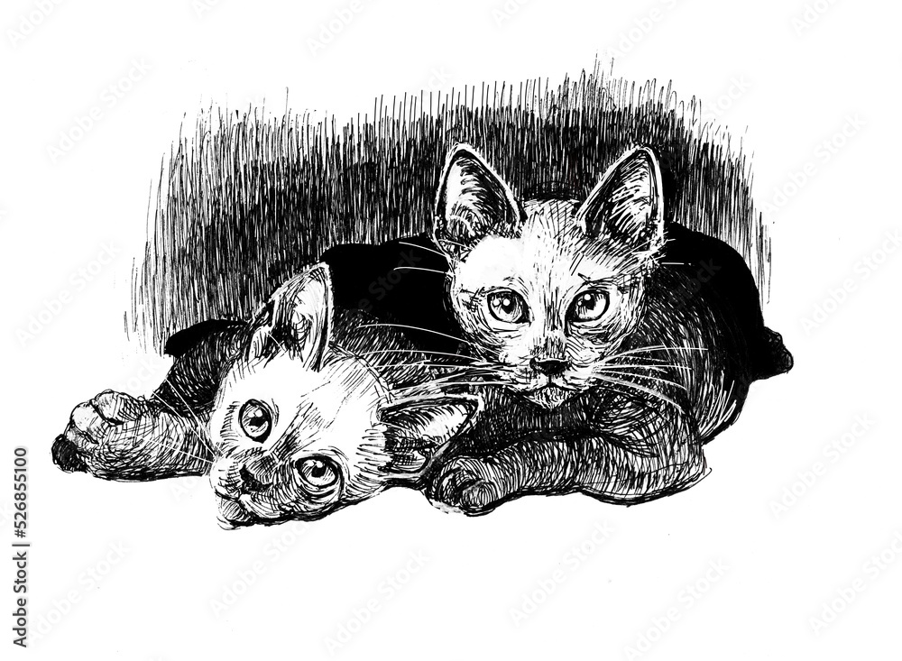 Wall mural Cute two kittens lying side by side looking at us. Black and white pen drawing depicting oriental breed kittens.