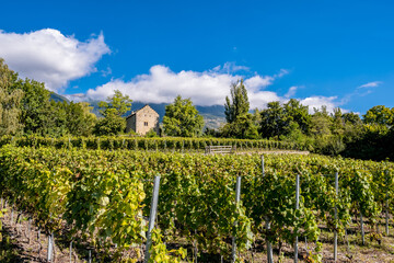 Fototapeta na wymiar Landscape and Vineyards - Veyras, Switzerland