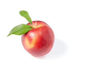 single peach on white background