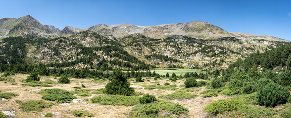 panorama sur un lac vert de montagne couvert de végétation