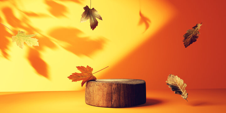 Autumn leaves with a round wooden podium - 3D render
