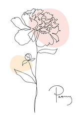 Beautiful peony flower. Line art concept design. Continuous line drawing. Stylized flower symbol. Vector illustration in black and pastel color