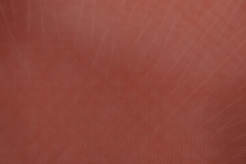 Fototapeta premium Red color geometric pattern texture, ornament wallpaper for computer desktop and web page