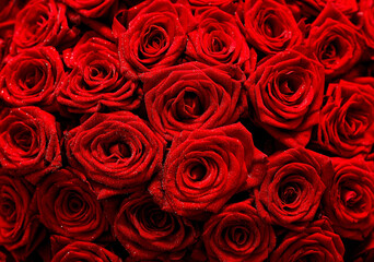 Bright red roses. Fresh flowers for the holidays. 
