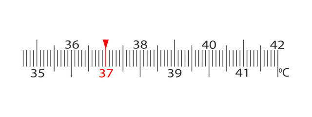 Horizontal scale of body thermometer with temperature marking in Celsius from 35 to 42 degrees. Simple template for medical measuring tool isolated on white background. Vector graphic illustration