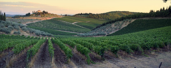 Weite Landschaft der Toskana mit Weinberg und  Weingut auf einem Hügel - obrazy, fototapety, plakaty