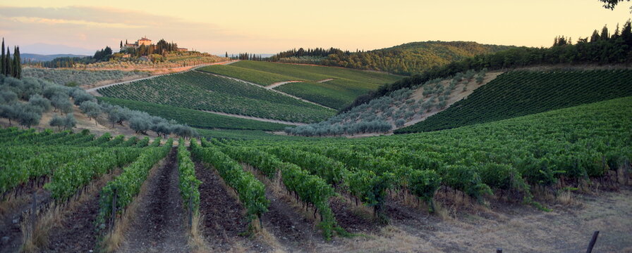 Weite Landschaft der Toskana mit Weinberg und  Weingut auf einem Hügel