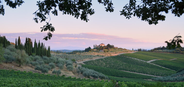 Weingut auf einem Hügel in der Toskana  umrahmt von Zweigen
