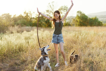 A woman walks with her husky dog ​​on a leash in a field on the way to the forest in nature, hiking with a dog under the summer sun