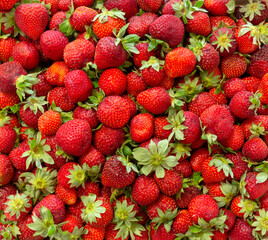background from freshly harvested strawberries.