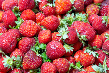 background from freshly harvested strawberries.