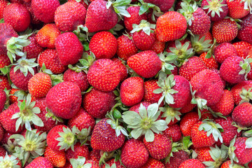 background from freshly harvested strawberries.
