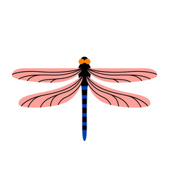 Isolated dragonfly Summer insect Animal Vector - obrazy, fototapety, plakaty
