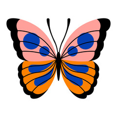 Isolated butterfly Summer insect Animal Vector