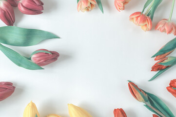 Frame of spring tulips in retro style on a light background. Top view, flat lay with copy space