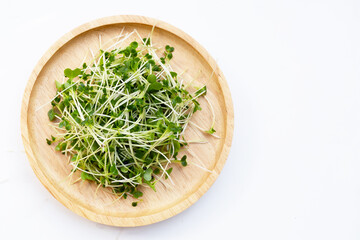 Organic kale sprouts. Healthiest vegetables concept
