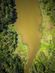 Beautiful top down view to green rainforest lake with muddy water