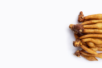 Finger root on white background. Copy space