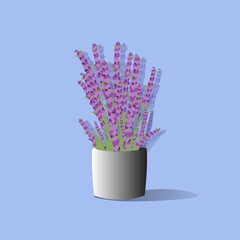Lavender grass in an old stylish pot, isolated vector Illustration. Home garden and decor design element. Healing and cosmetics potted herb. Garden Medical plant. Icon for natural and organic products