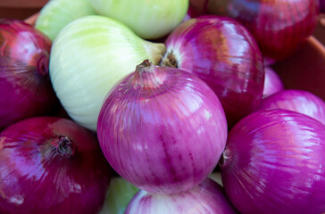 purple and white onion close up